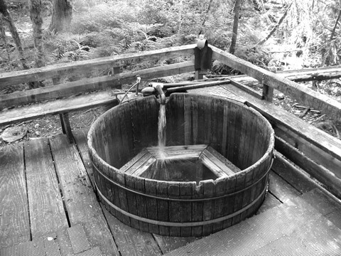 Vasca idromassaggio in legno antico