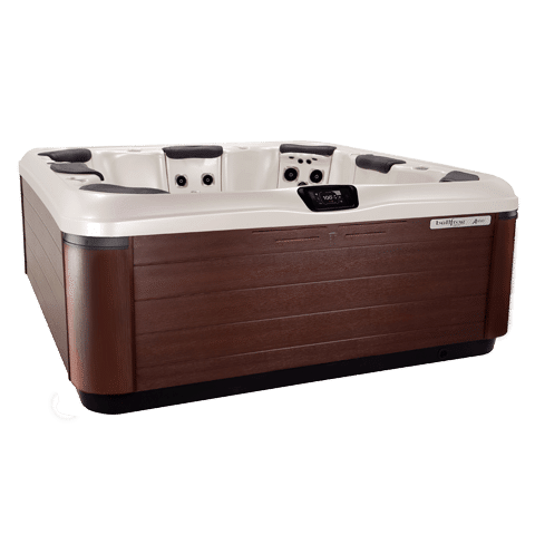 Bullfrog Spas Hot Tub Model A8 3pt